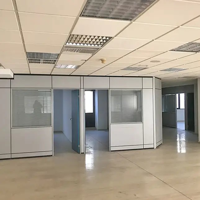 Thub1